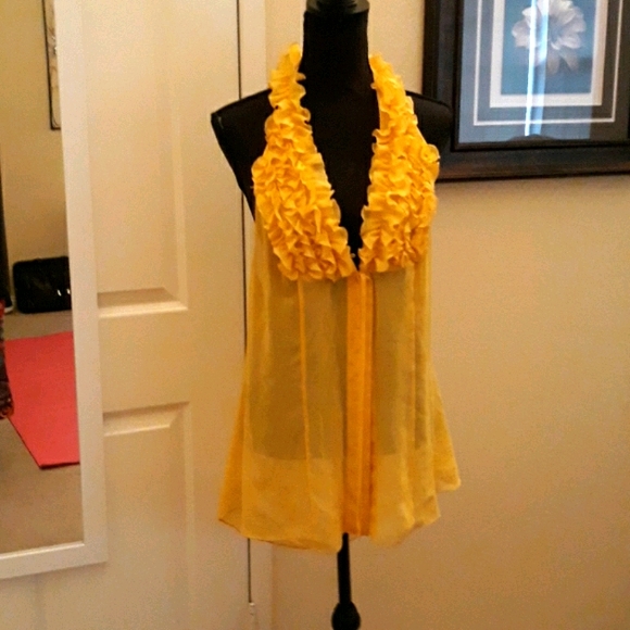 Sheer Ruffled Summer Top - Picture 2 of 7